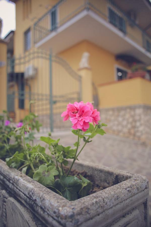 B&B Dei Segreti&Spa Rose Esterno foto